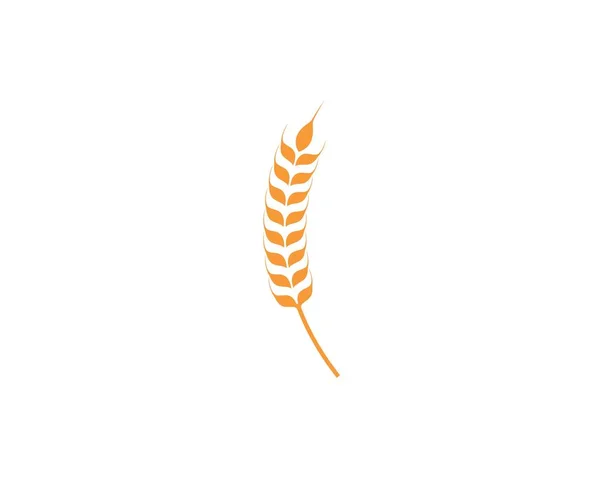 Значок вектора логотипа сельскохозяйственной пшеницы — стоковый вектор