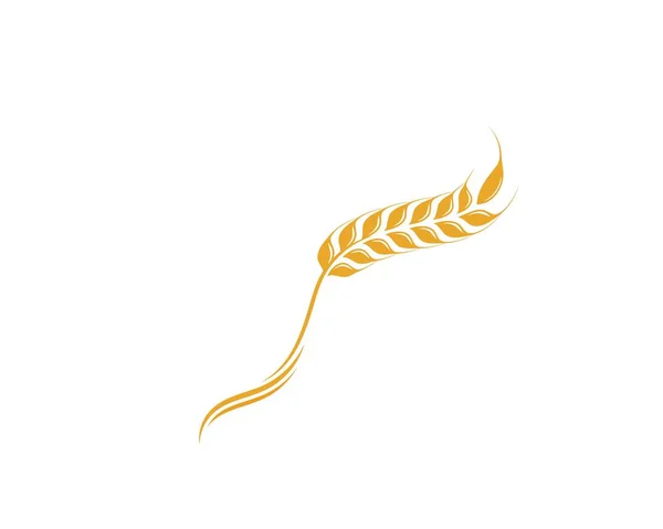 Modèle de logo de blé agricole icône vectorielle — Image vectorielle