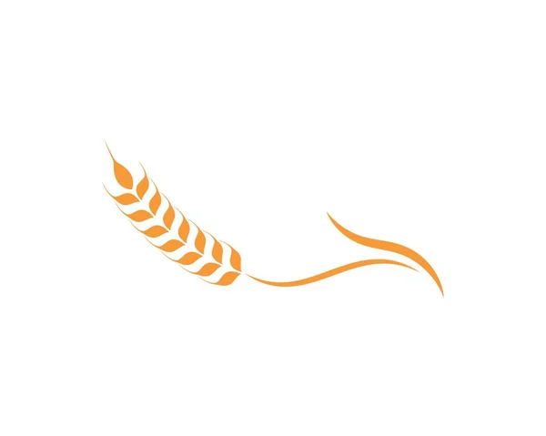Значок вектора логотипа сельскохозяйственной пшеницы — стоковый вектор