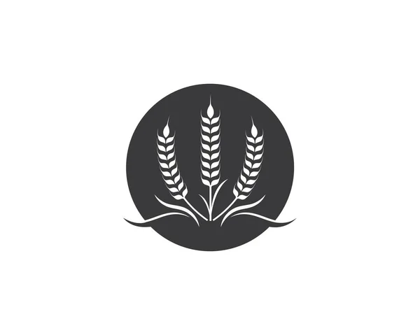 Modèle de logo de blé agricole icône vectorielle — Image vectorielle