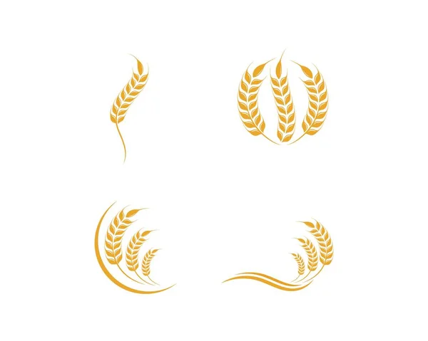 Tarım Buğdayı Logo Şablonu vektör simgesi — Stok Vektör