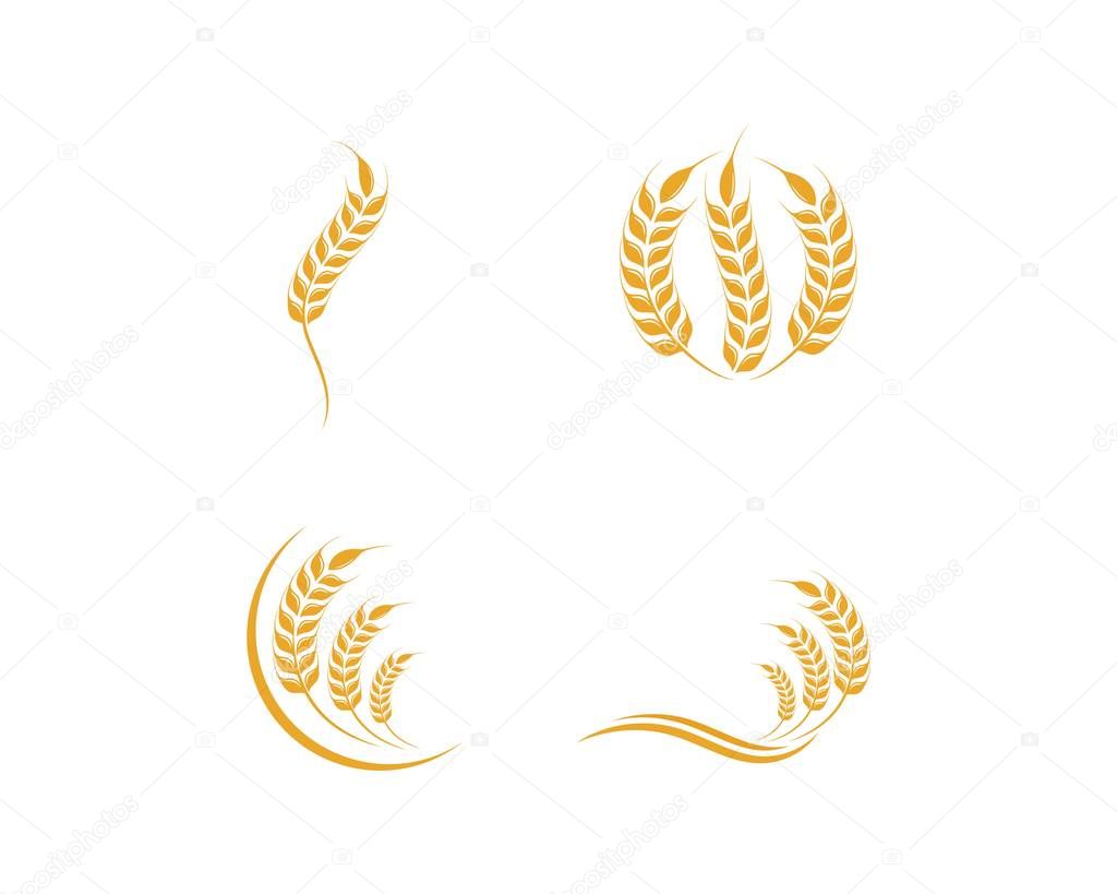 Agriculture wheat Logo Template vector icon desig