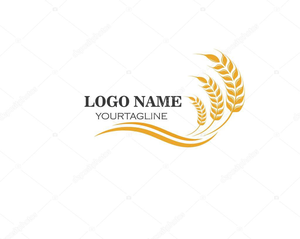 Agriculture wheat Logo Template vector icon 