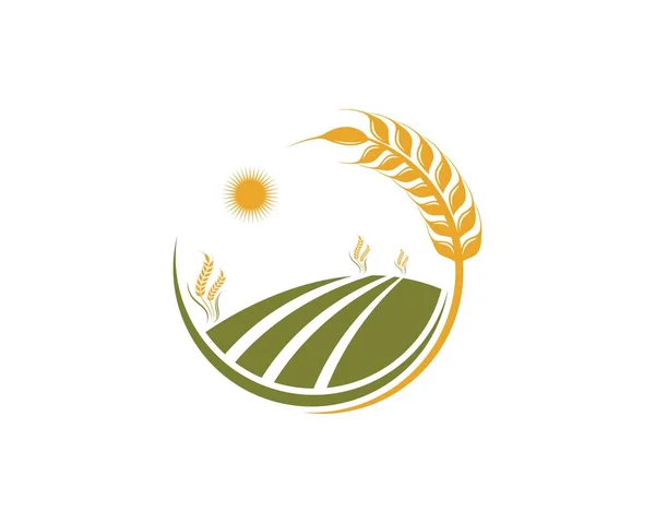 Landwirtschaft Weizen Logo Vorlage Vektorsymbol — Stockvektor