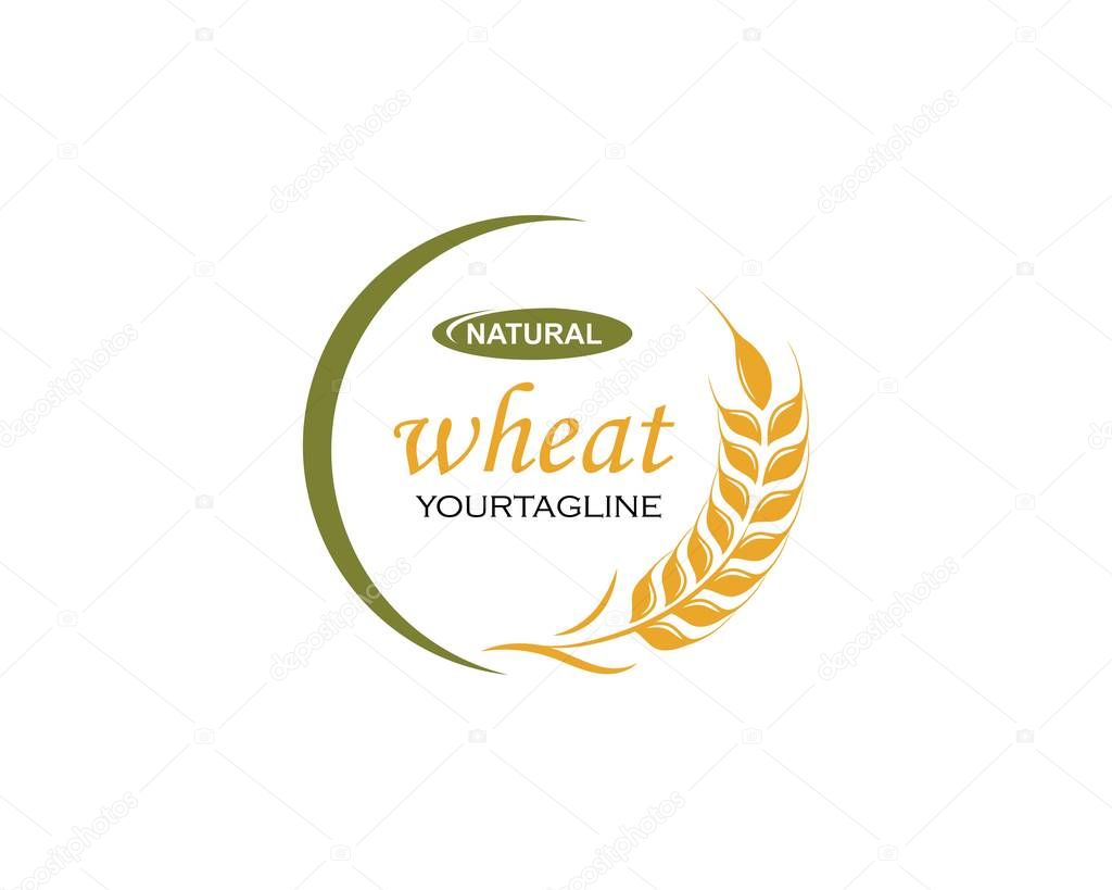 Agriculture wheat Logo Template vector icon 