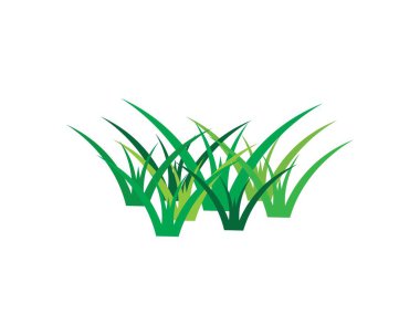 çim vektör illüstrasyon şablonu