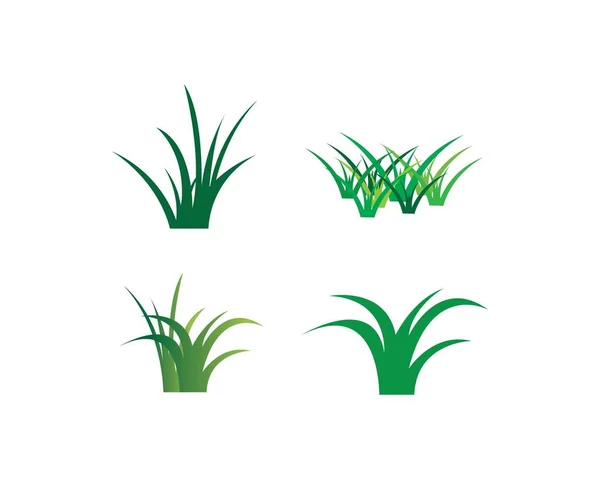 Modèle d'illustration vectorielle d'herbe — Image vectorielle