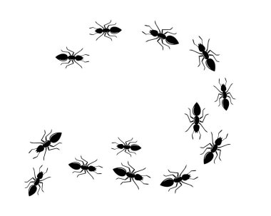 Ant Logo şablon vektör illüstrasyon 