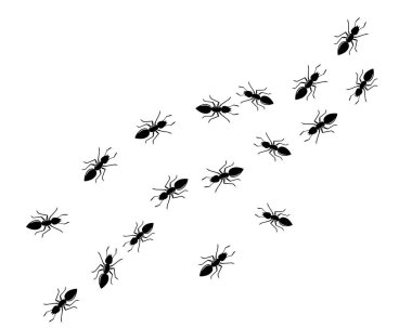 Ant Logo şablon vektör illüstrasyon 