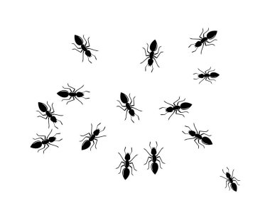 Ant Logo şablon vektör illüstrasyon 