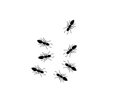 Ant Logo şablon vektör illüstrasyon 