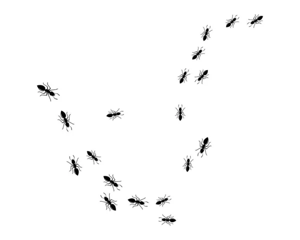 Ant ロゴ テンプレート ベクトル イラスト — ストックベクタ