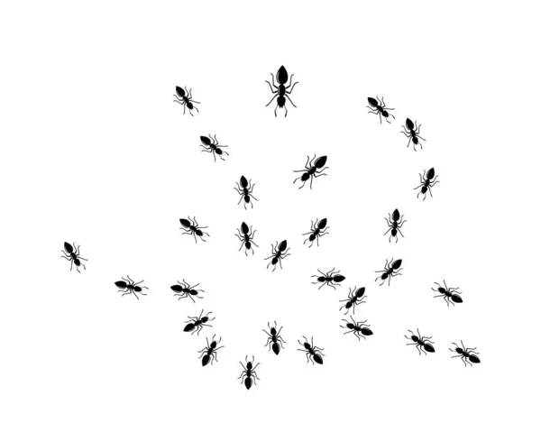 Ant logo sjabloon vector illustratie — Stockvector