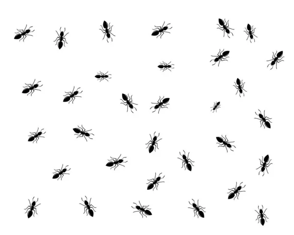 Ant logo sjabloon vector illustratie — Stockvector