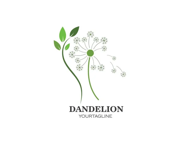 Dandelion ícone logotipo da flor —  Vetores de Stock