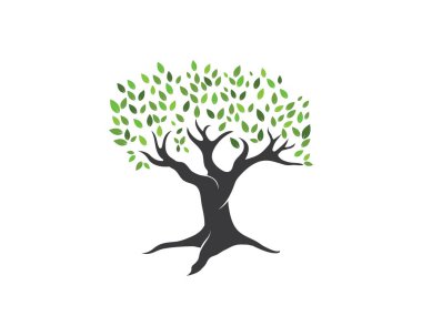 Ağaç yaprağı vektör logo tasarımı, çevre dostu 