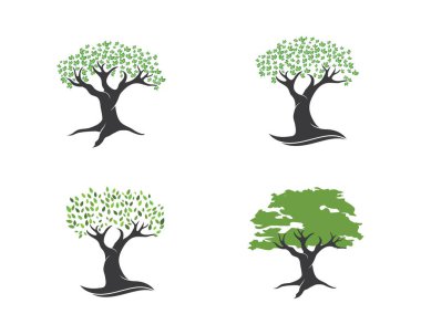Ağaç yaprağı vektör logo tasarımı, çevre dostu 
