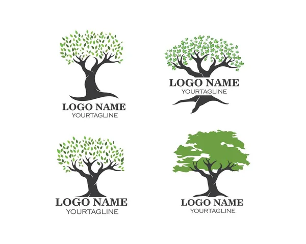 Diseño del logotipo del vector de hoja de árbol, ecológico — Archivo Imágenes Vectoriales