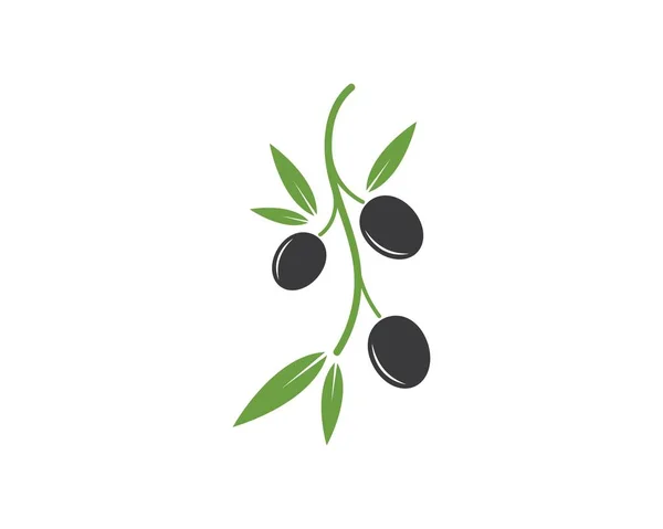 Modèle de logo olive vecteur — Image vectorielle