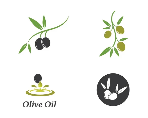 Olive logo sjabloon vector — Stockvector