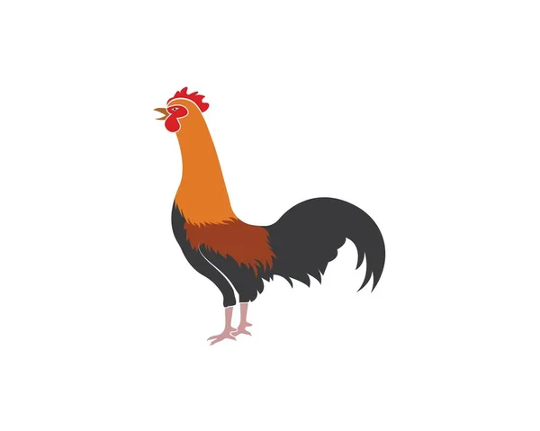 Templat gambar logo vektor rooster - Stok Vektor