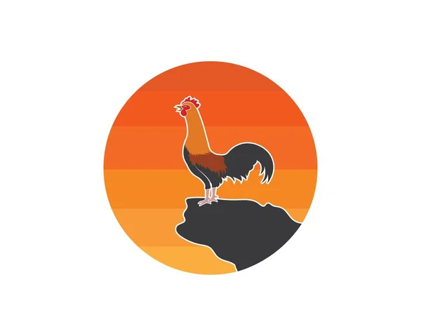 Rooster logo vector illustratie sjabloon — Stockvector