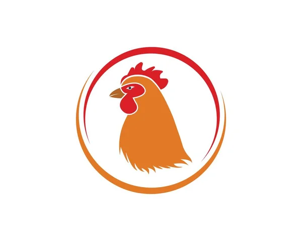 Vector de pollo Ilustración — Vector de stock