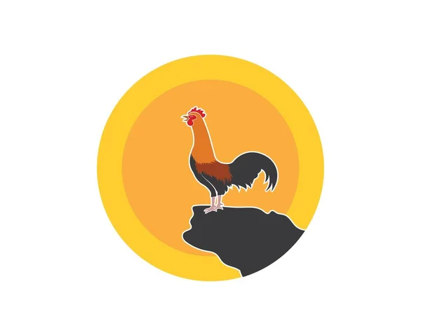 Rooster ilustracja logo szablon wektor — Wektor stockowy