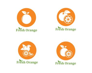 illüstrasyon meyve simge turuncu vektör