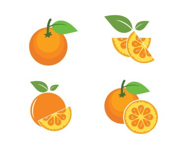 illüstrasyon meyve simge turuncu vektör