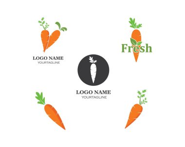 illüstrasyon havuç sembol simge vektör tasarım