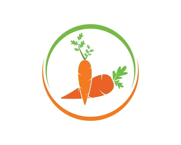 Carrot logo icon vector illustration design — Stock Vector