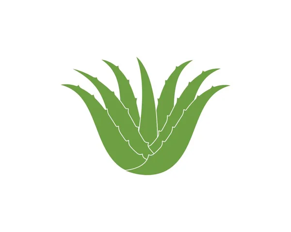 Aloevera logo icône vectoriel illustration design — Image vectorielle