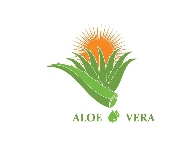 Aloevera logo ikona Vektor návrh ilustrace — Stockový vektor