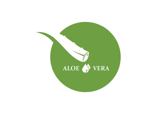 Aloevera logo pictogram vector illustratie ontwerp — Stockvector