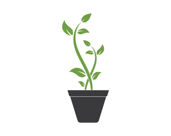植物标志图标矢量插图设计 — 图库矢量图片