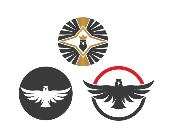 Halcón, águila logo icono vector ilustración diseño — Vector de stock