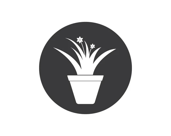 Planta em vaso modelo de vetor de ilustração — Vetor de Stock