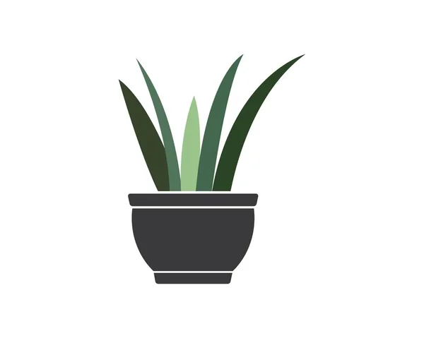 Φυτό στην εικόνα δοχείο διανυσματικό πρότυπο — Διανυσματικό Αρχείο