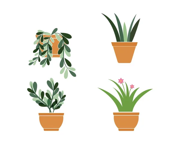 Plant in pot illustratie vector sjabloon — Stockvector
