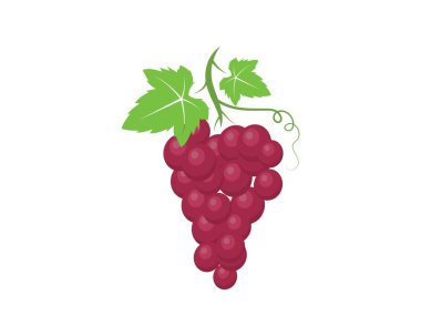 Yaprak simgesi vektör illustrtion ile Üzüm meyve 