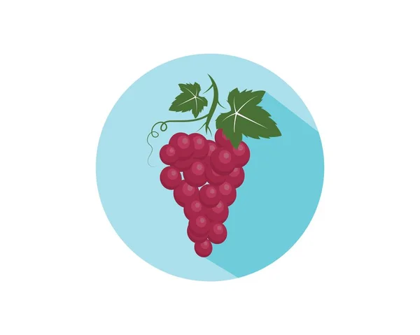 Плоды винограда с векторной иллюстрацией листа — стоковый вектор