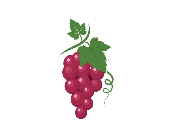 Winogrona owoce z liści ikona wektor ilustrtion — Wektor stockowy