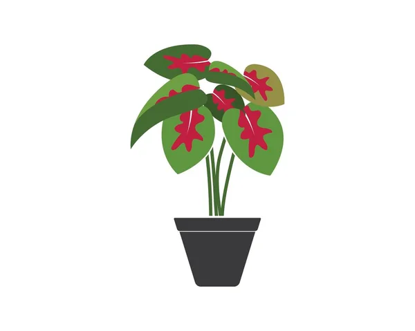 罐体图标标志矢量插图设计中的钙植物 — 图库矢量图片