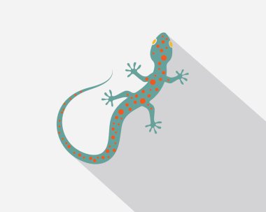 Gecko logo vektör simgesi illüstrasyon 