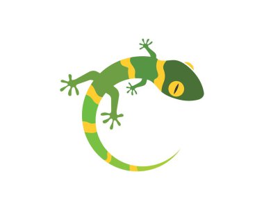 Gecko logo vektör simgesi illüstrasyon 