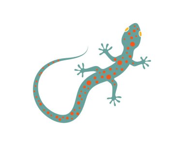 Gecko logo vektör simgesi illüstrasyon 