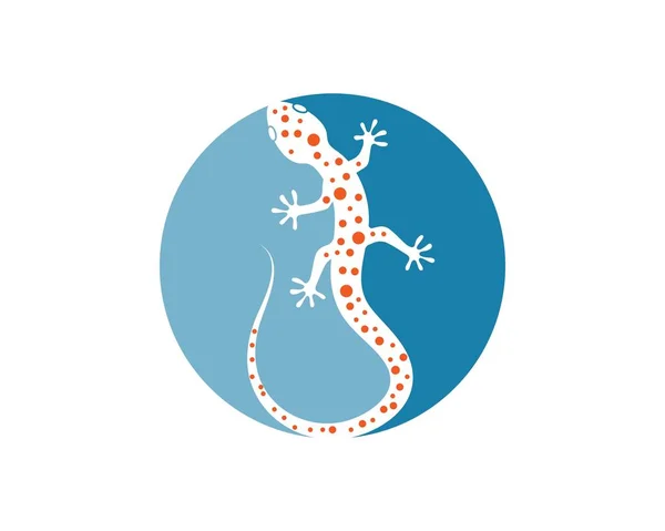 Gecko Logo Vektor Symbol Illustration — Stockvektor