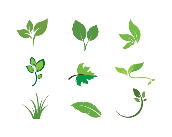 Verde foglia ecologia natura elemento vettore icona di go green — Vettoriale Stock