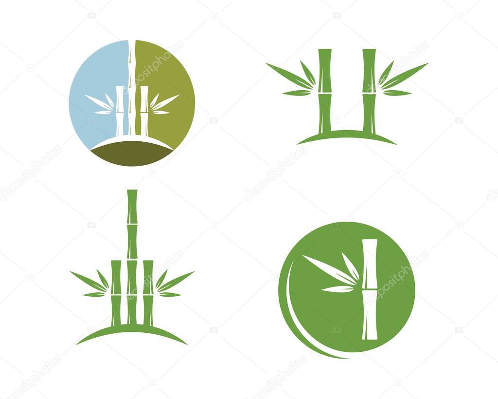 Bamboo with green leaf for your logo icon vector template
